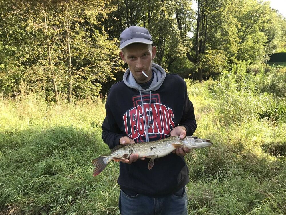 ���������� ����, ���� ������� �����, 37 ���, ������������ ��� c�������� ���������