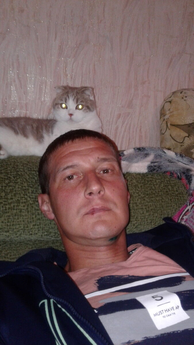  ,   , 41 ,   , 