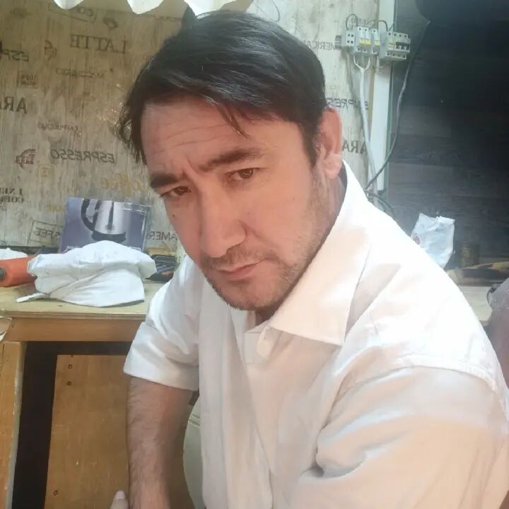  31641947  , 44 ,    -