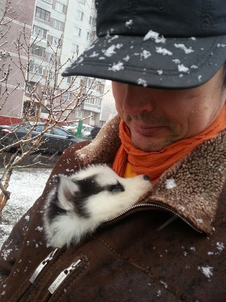 ���������� ������, ���� ������� �����, 48 ���, ������������ ��� ������, ����� � ���������, c�������� ���������