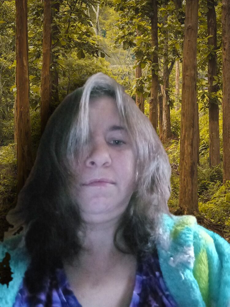 ���������� ��������, ���� ������� ���������, 33 ����, ������������ ��� c�������� ���������, ���������