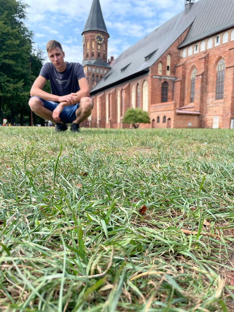 ���������� ����, ���� ������� ������, 28 ���, ������������ ��� ������, ����� � ���������