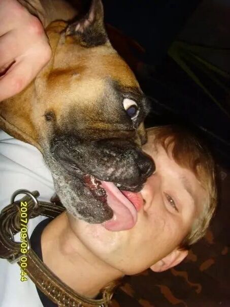 ���������� �����-���������, ���� ������� ���, 41 ���, ������������ ��� ������, ����� � ���������