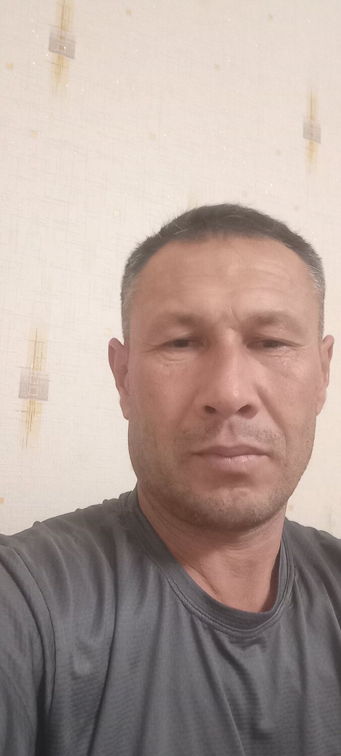  43556867  Bazarbay, 44 ,    