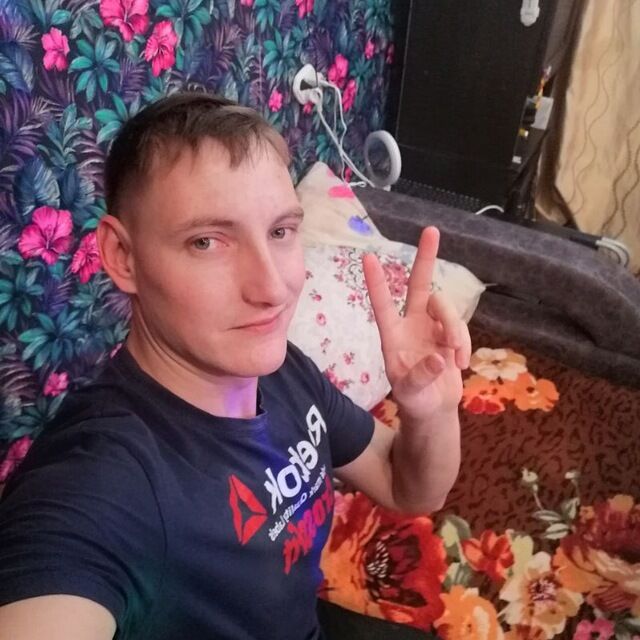 31343087  , 31 ,    