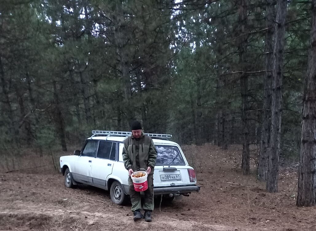  ,   , 63 ,   c 