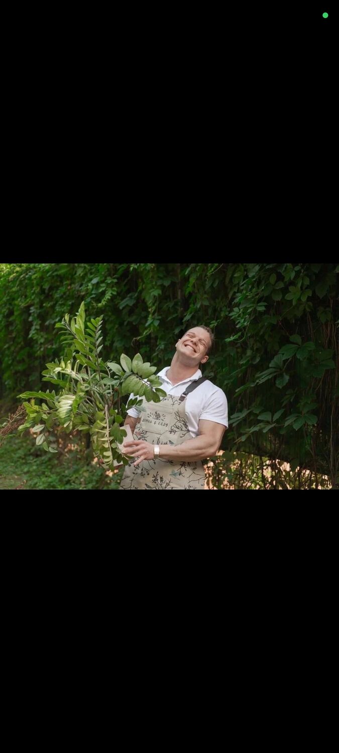 ���� 46278717 ������� ��������, 29 ���, ���� ���������� � ������