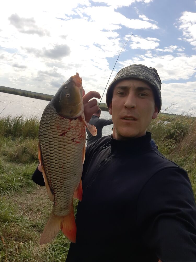 ���������� ��������, ���� ������� �������, 33 ����, ������������ ��� ������, ����� � ���������, c�������� ���������, ���������