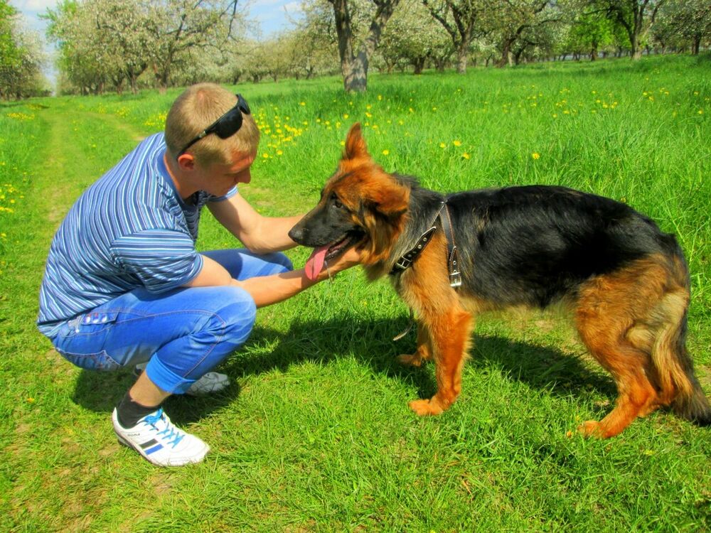  ,   VladislaV, 31 ,  