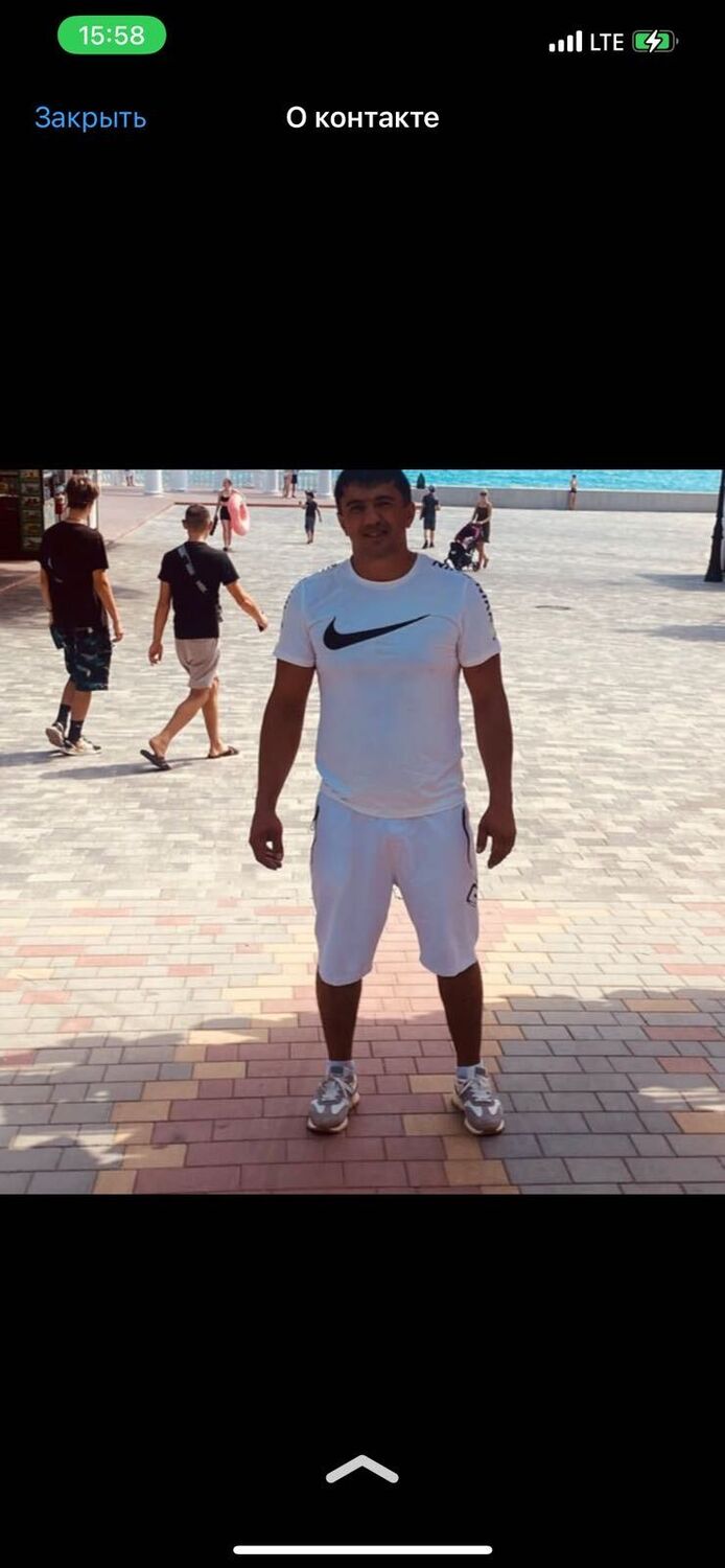  33633847  , 34 ,    
