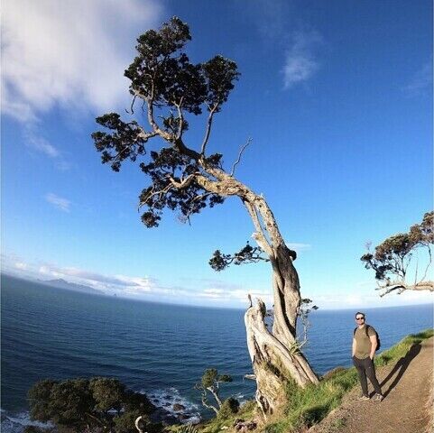 ���������� ������, ���� ������� ������, 100 ���, ������������ ��� ������, ����� � ���������