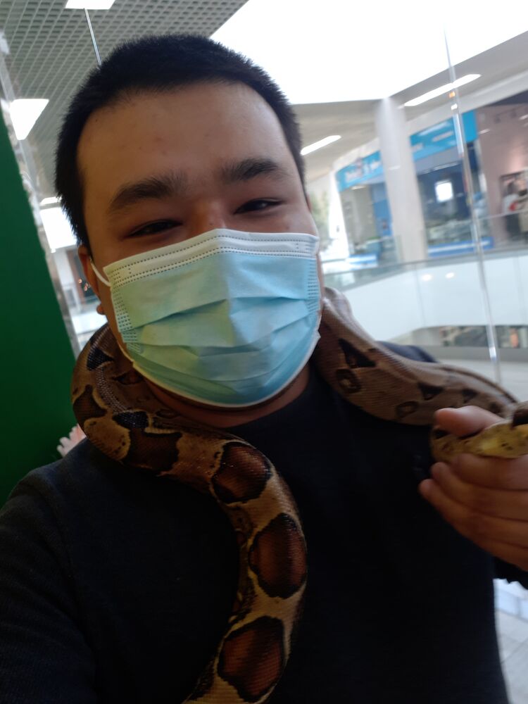 ���� 24711717 ������� ������, 33 ����, ���� ���������� � ������