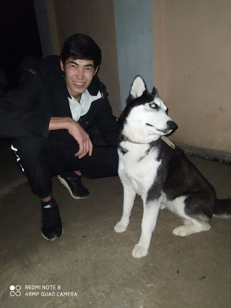 ���� 24499767 ������� �����, 28 ���, ���� ���������� � �����������