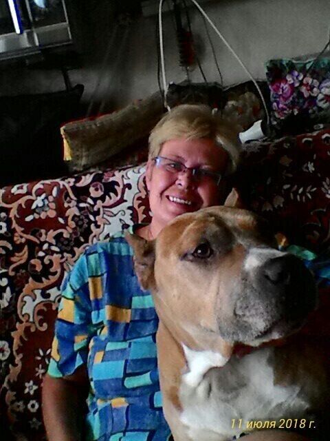 ���� 22073817 ������� �����, 56 ���, ���� ���������� � ������