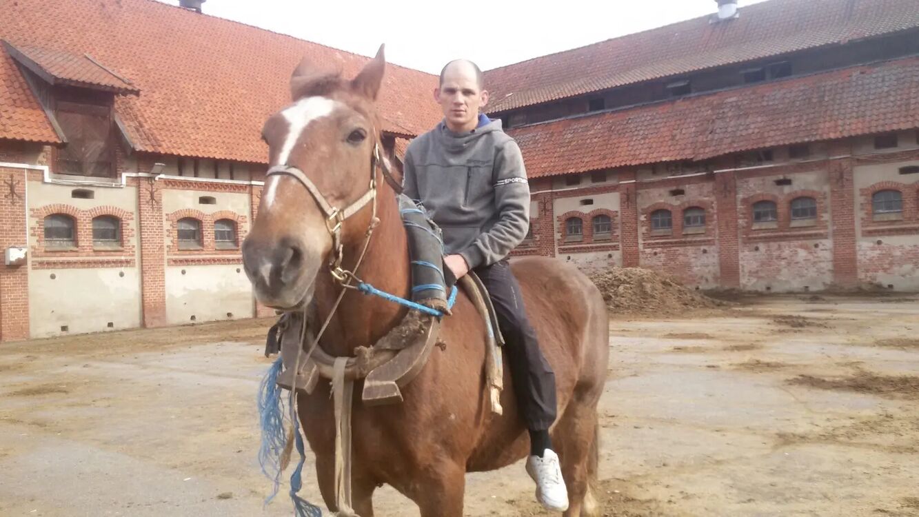 ���� 47801687 ������� ���������, 44 ����, ���� ���������� � ������