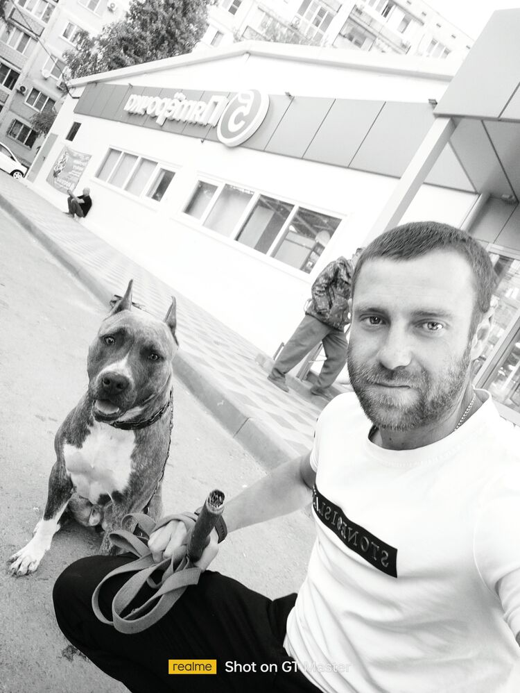 ���������� ���������, ���� ������� ���������, 38 ���, ������������ ��� ������, ����� � ���������, c�������� ���������