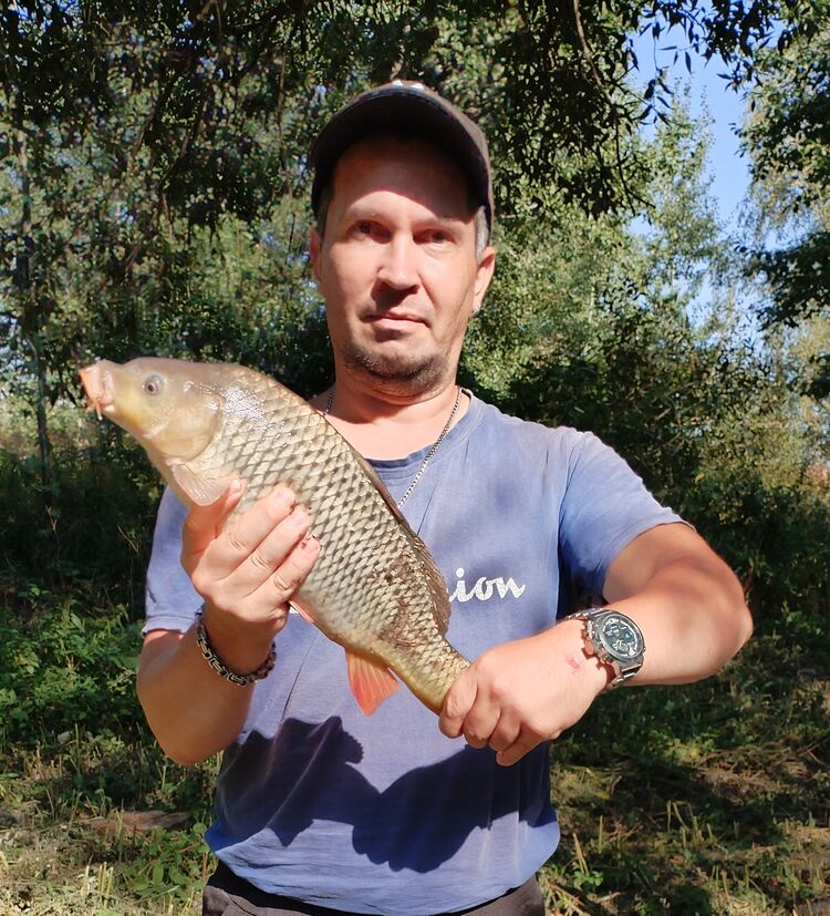  ,   , 38 ,   c 