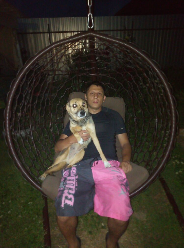 ���������� �����, ���� ������� �������, 38 ���, ������������ ��� ������, ����� � ���������, c�������� ���������, ���������