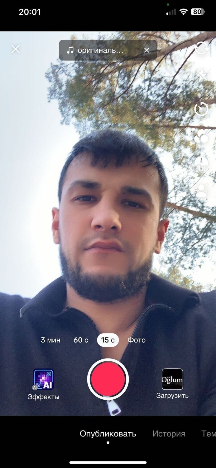  43454787  , 31 ,    -