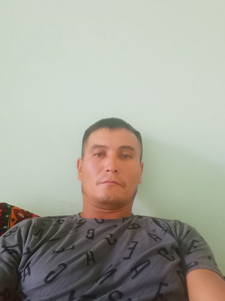  37187037  , 33 ,    