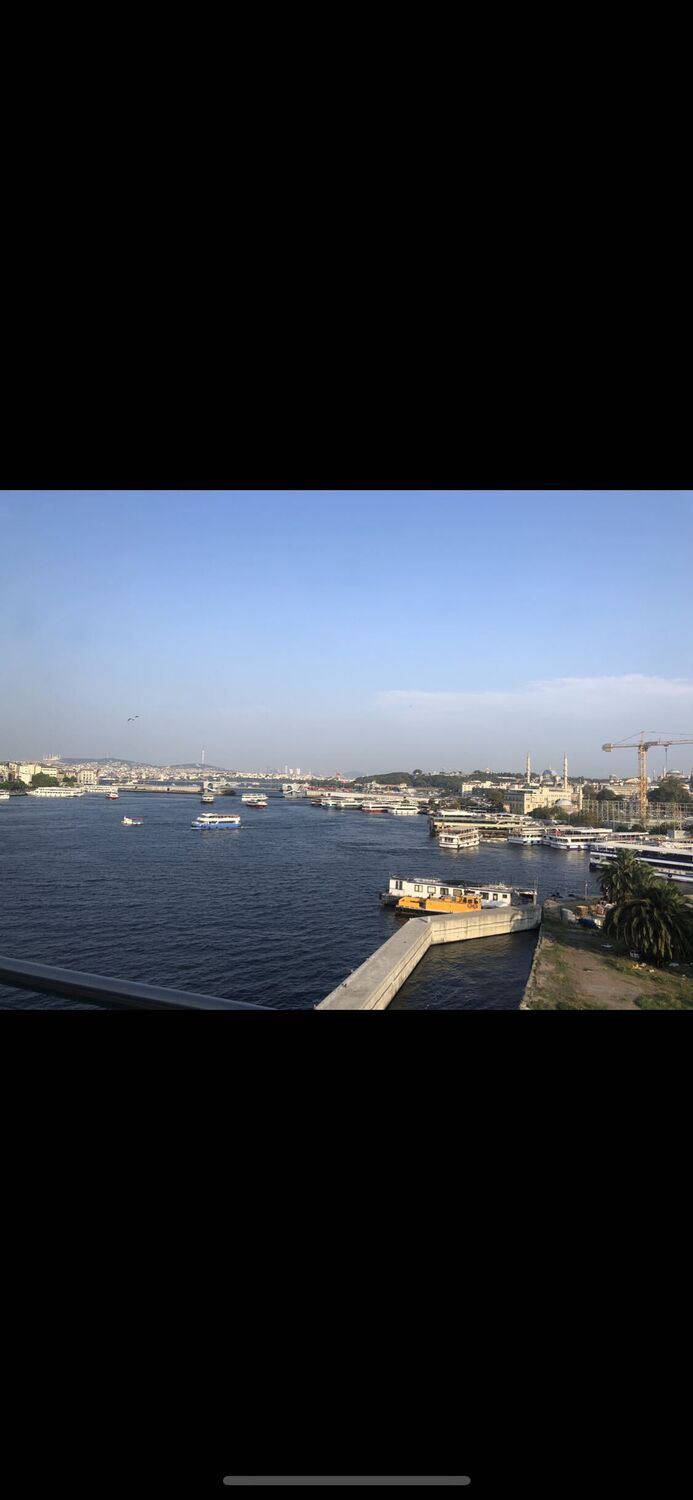 ���� 30393207 ������� �����, 35 ���, ���� ���������� � ������������