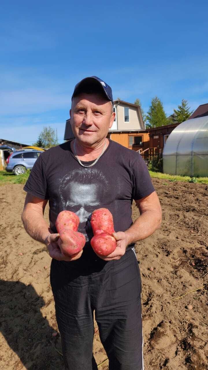  ,   , 63 ,   