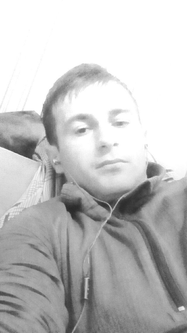  ,   ZAuR, 36 ,     , c 
