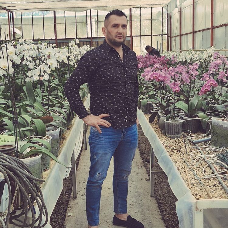 ���������� ����, ���� ������� �����, 44 ����, ������������ ��� ������, ����� � ���������, c�������� ���������