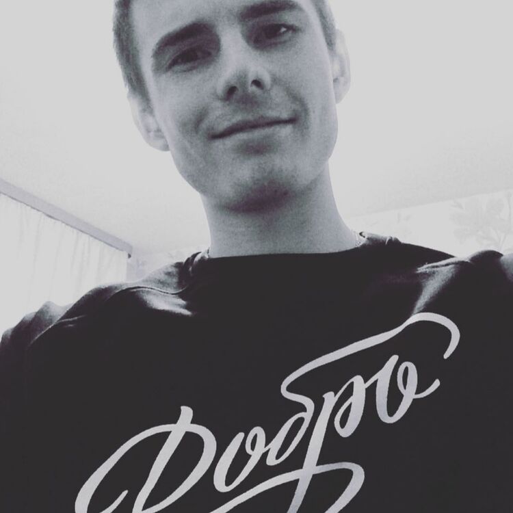  29084527  , 28 ,    -