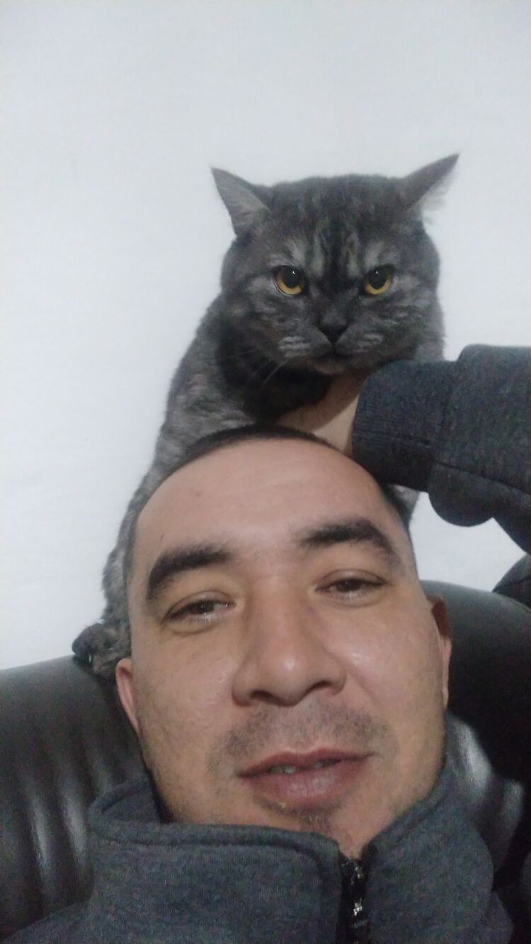 ���� 25911657 ������� �����, 42 ����, ���� ���������� � ���������