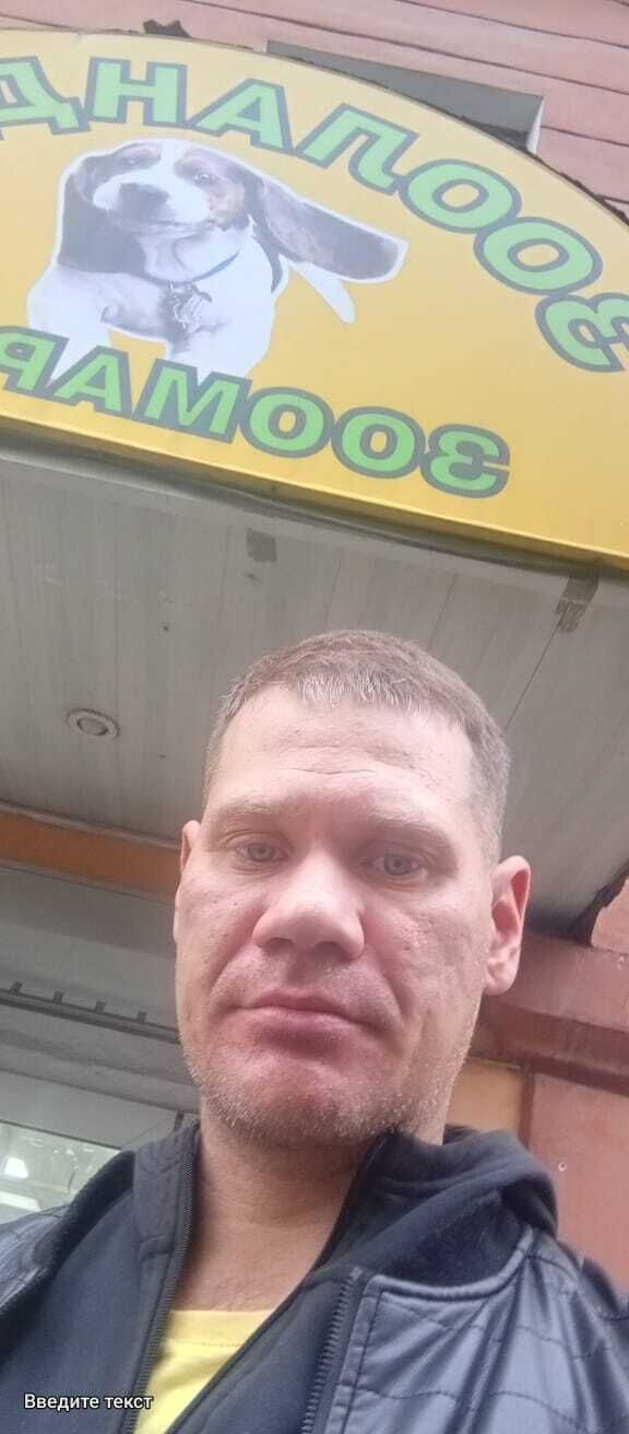 ���� 49702707 ������� ����, 40 ���, ���� ���������� � �����-����������