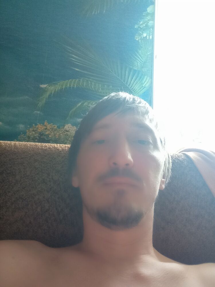  53066527  , 36 ,    