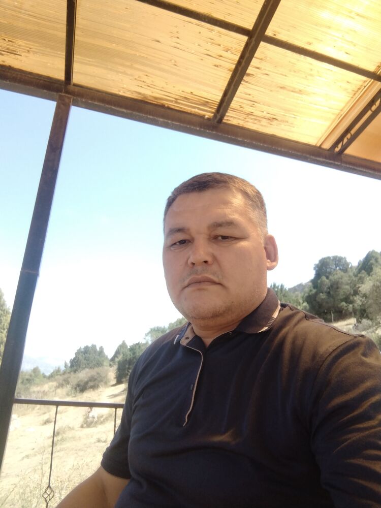 41093367  , 42 ,    