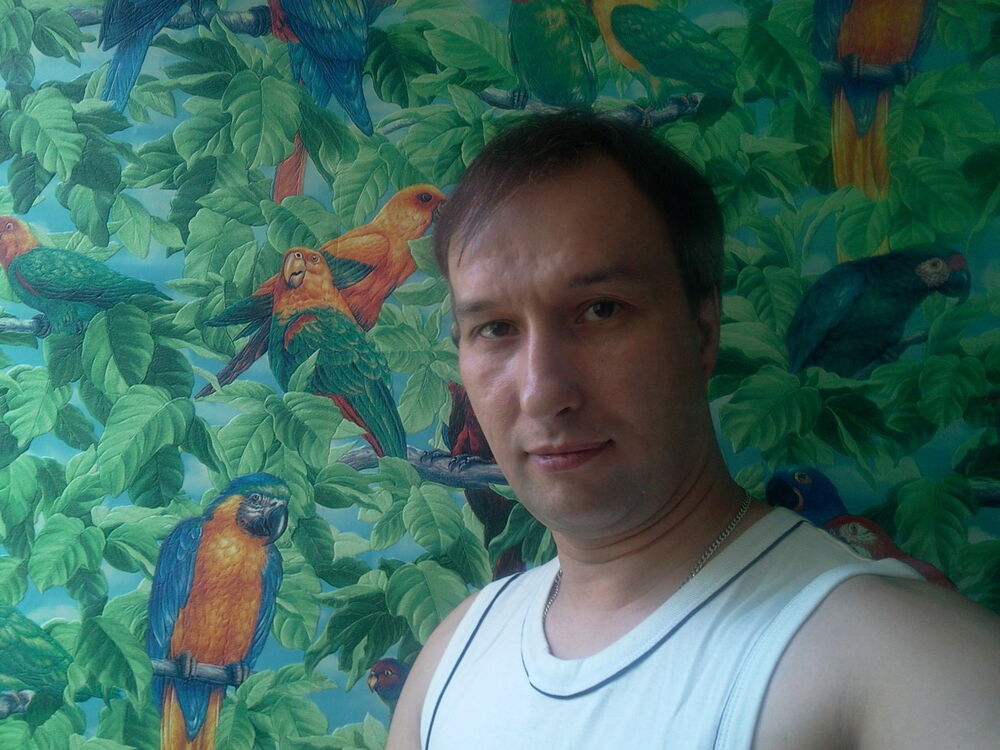  7458837  , 53 ,    