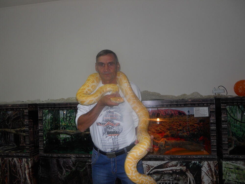  ,   , 52 ,     , c 