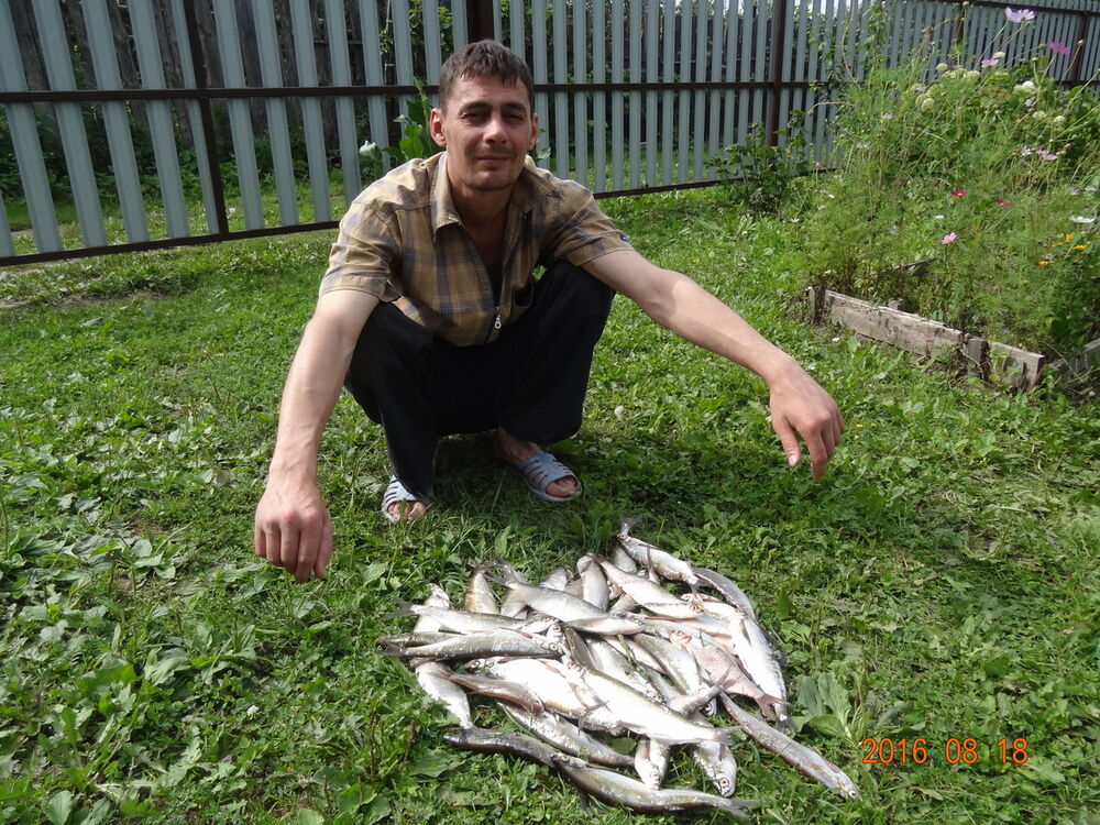 ���� 12038377 ������� �������, 44 ����, ���� ���������� � ����������