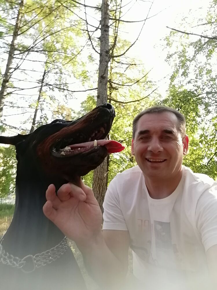 ���������� ���������, ���� ������� ����, 50 ���, ������������ ��� c�������� ���������