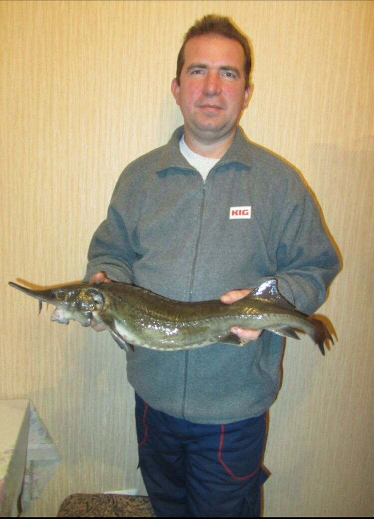 ���������� �����-���������, ���� ������� �����, 52 ����, ������������ ��� ����� � ���������, c�������� ���������