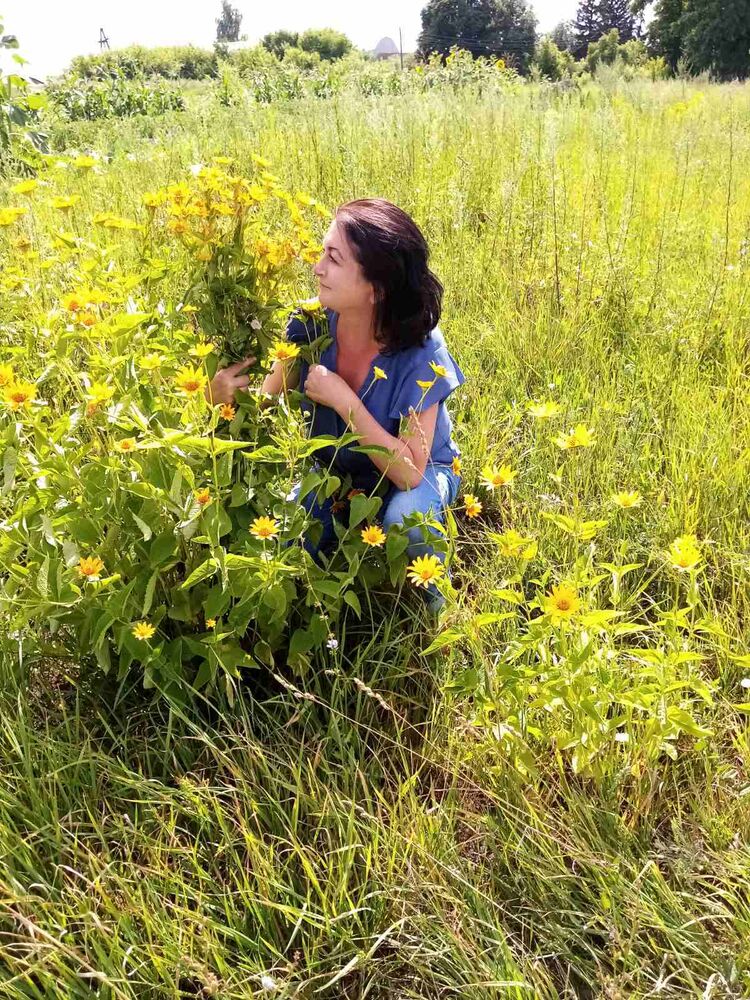 ���������� ������, ���� ������� ��������, 53 ����, ������������ ��� c�������� ���������