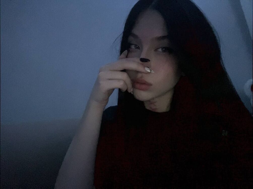  43221177  , 26 ,    -