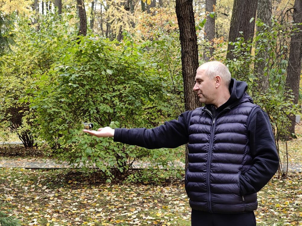 ���� 43725917 ������� �������, 45 ���, ���� ���������� � ������