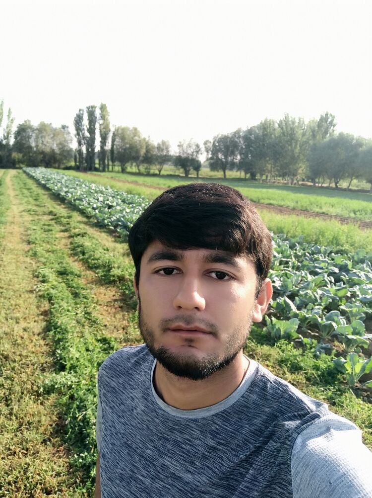 ���� 43926997 ������� ��������, 26 ���, ���� ���������� � �����-����������