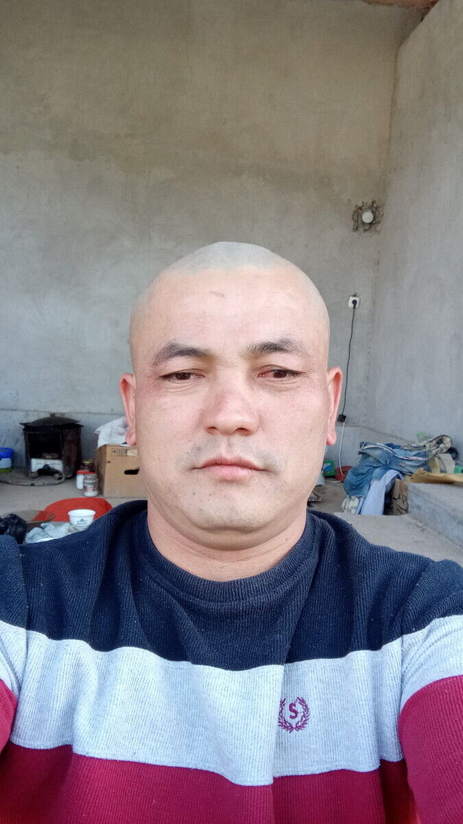  21298267  , 38 ,    