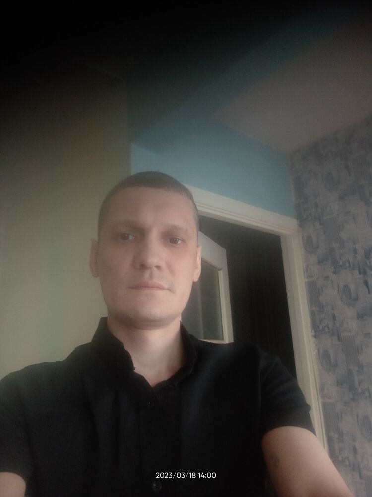  ,   Kotik, 40 ,     , c 