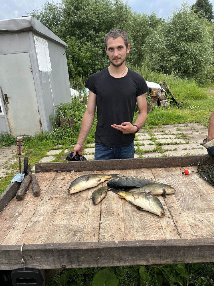 ���� 38772527 ������� ���������, 31 ���, ���� ���������� � ������