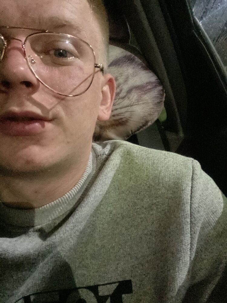  34630217  , 24 ,    