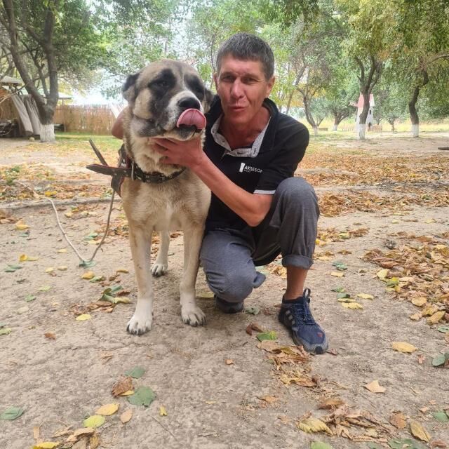 ���������� �������, ���� ������� �����, 53 ����, ������������ 