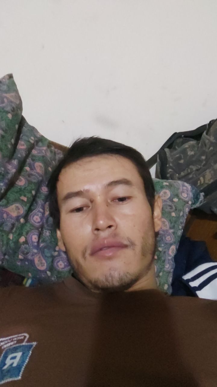  53320457  , 28 ,    