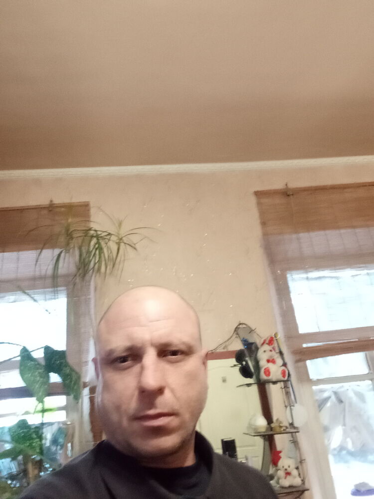  32427347  , 44 ,    