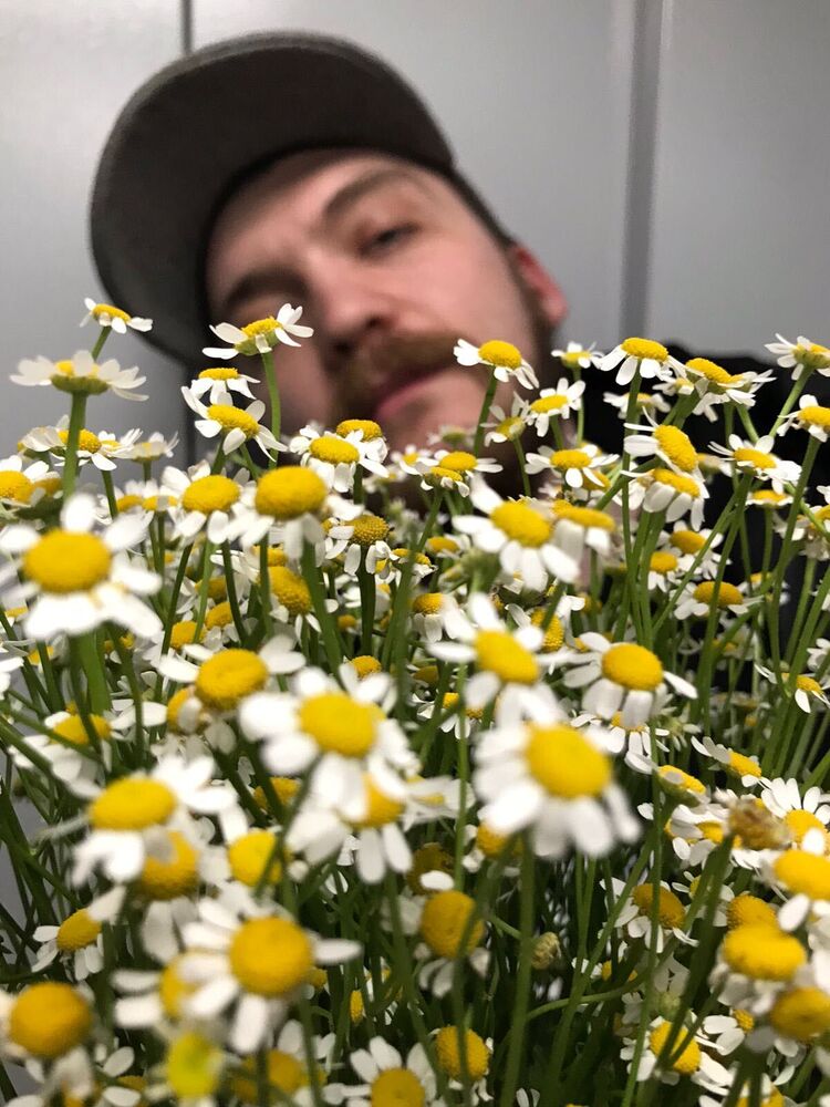 ���������� ������, ���� ������� ����, 31 ���, ������������ ��� ������